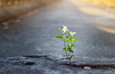 Addiction Recovery in Decatur, GA: Your Path to Wellness at MindBodySoul