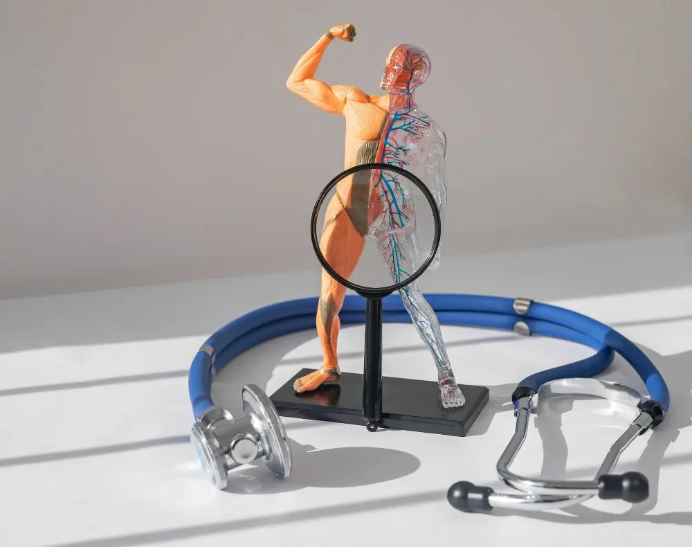 crotch-pain-uterus-prostate-diseases-concept-incontinence-impotence-uterine-disfunctions